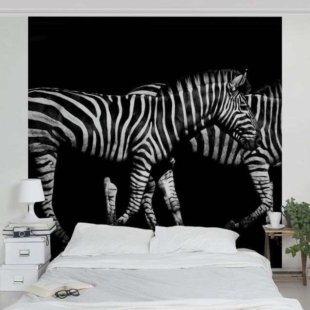 Papel pintado en blanco y negro Zebra In The Dark