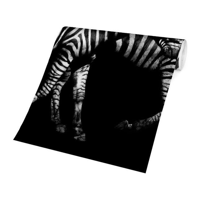 Papel pared animales Zebra In The Dark