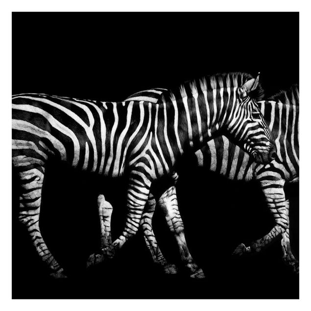 Papeles pintados Zebra In The Dark