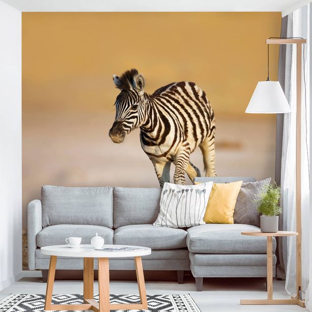 Papeles pintados modernos Zebra Foal