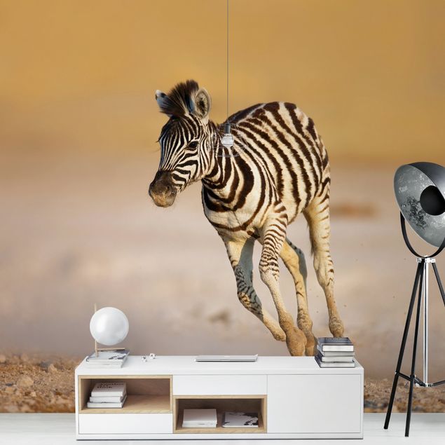 Papel pared animales Zebra Foal