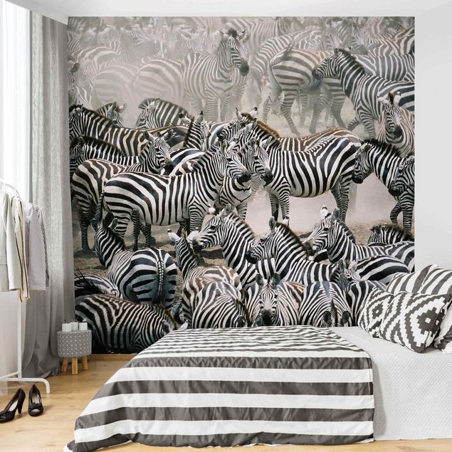 Papeles pintados modernos Zebra Herd