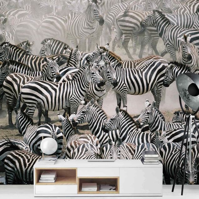 Papel pintado en blanco y negro Zebra Herd