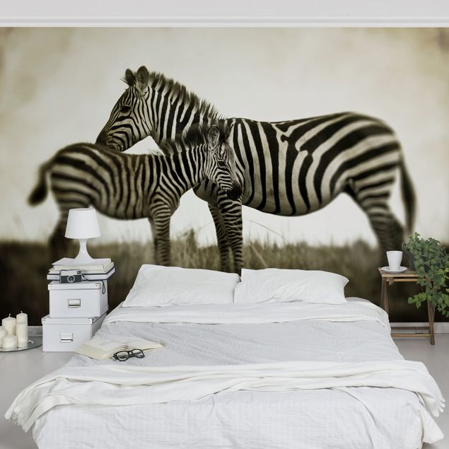 Papel pintado cebra Zebra Couple