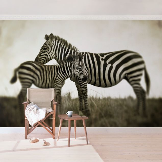 Papeles pintados blanco y negro Zebra Couple