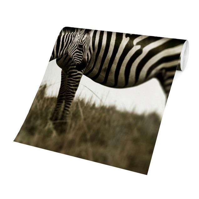 Papel pintado infantil animales Zebra Couple