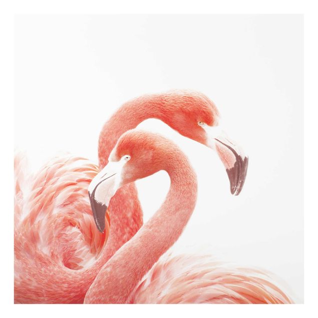 Cuadros modernos y elegantes Two Flamingos
