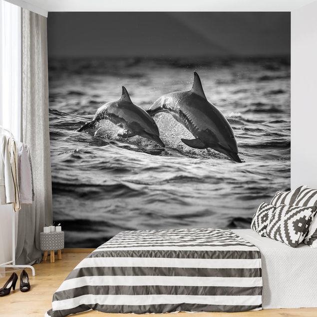 Papel pintado moderno Two Jumping Dolphins