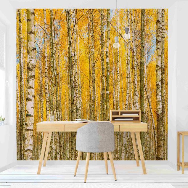 Papel pared bosque Between Yellow Birch Trees
