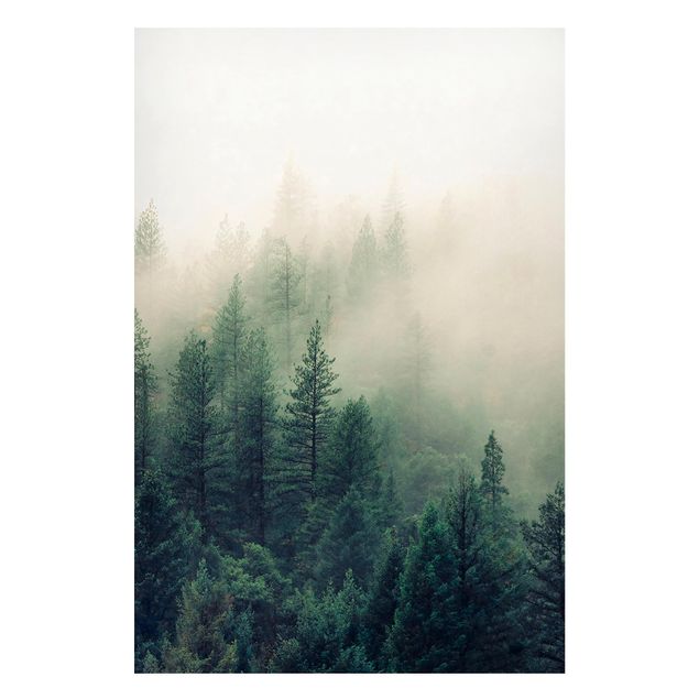 Cuadros de árboles Foggy Forest Awakening