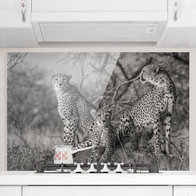 Decoración de cocinas Three Cheetahs