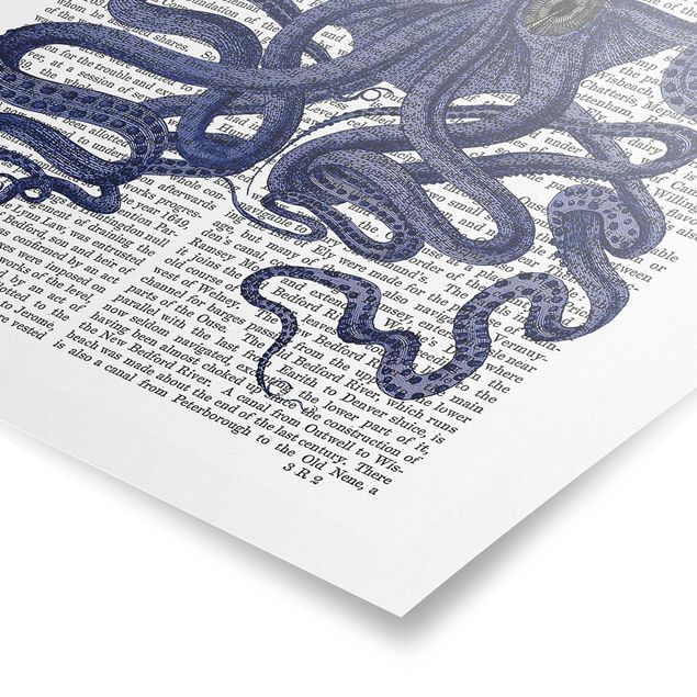 Cuadros azules Animal Reading - Octopus