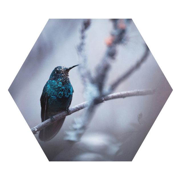 Cuadro morado Hummingbird In Winter