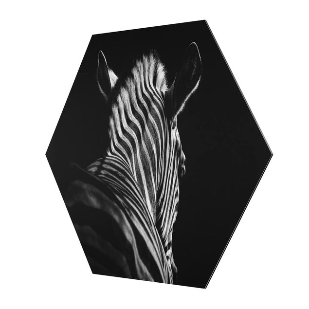 Cuadros Dark Zebra Silhouette