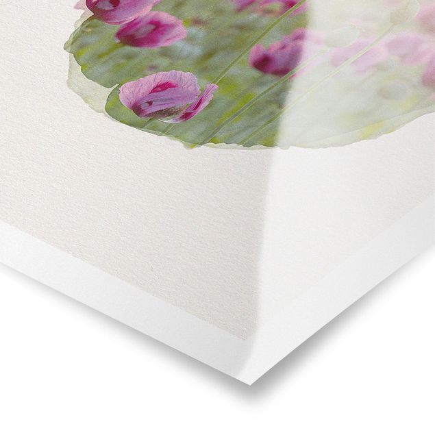 Cuadros Mirau WaterColours - Violet Poppy Flowers Meadow In Spring