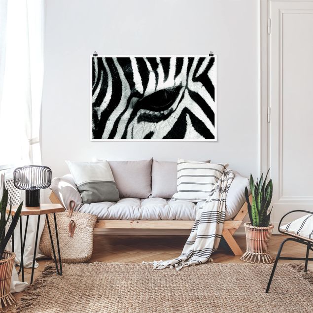 Póster blanco y negro Zebra Crossing