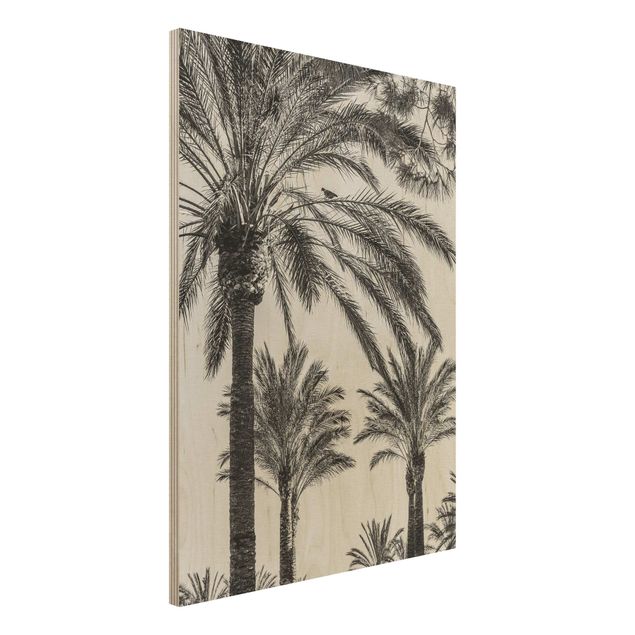 Decoración cocina Palm Trees At Sunset Black And White