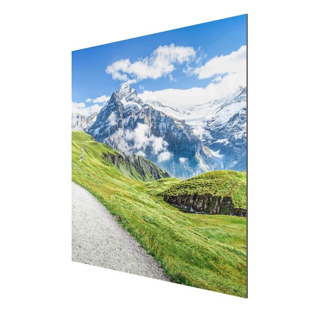 Cuadros montañas Grindelwald Panorama