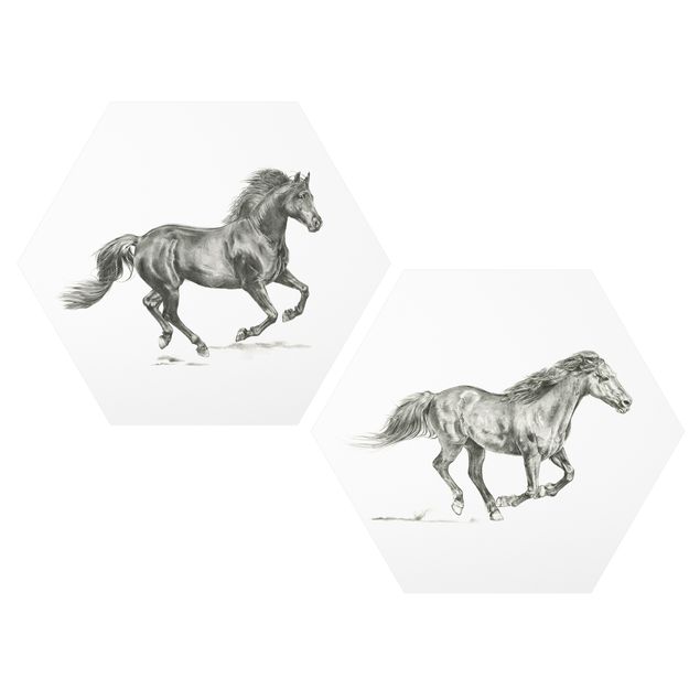 Cuadros modernos y elegantes Wild Horse Study Set I