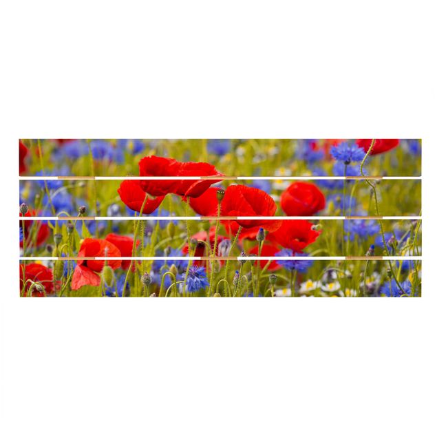 Cuadros decorativos Summer Meadow With Poppies And Cornflowers