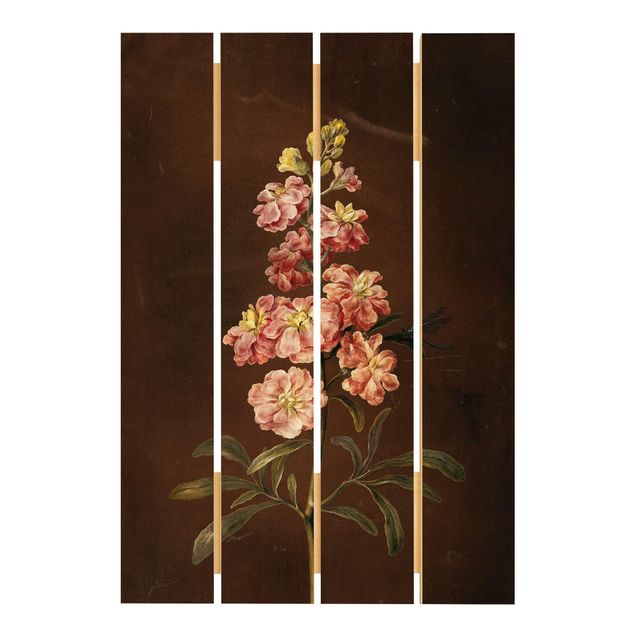 Cuadros de madera flores Barbara Regina Dietzsch - A Light Pink Gillyflower