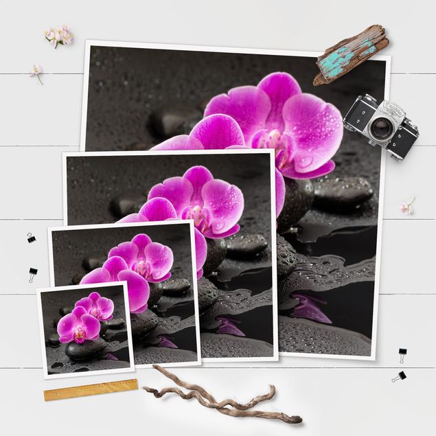 Láminas decorativas para pared Pink Orchid Flower On Stones With Drops