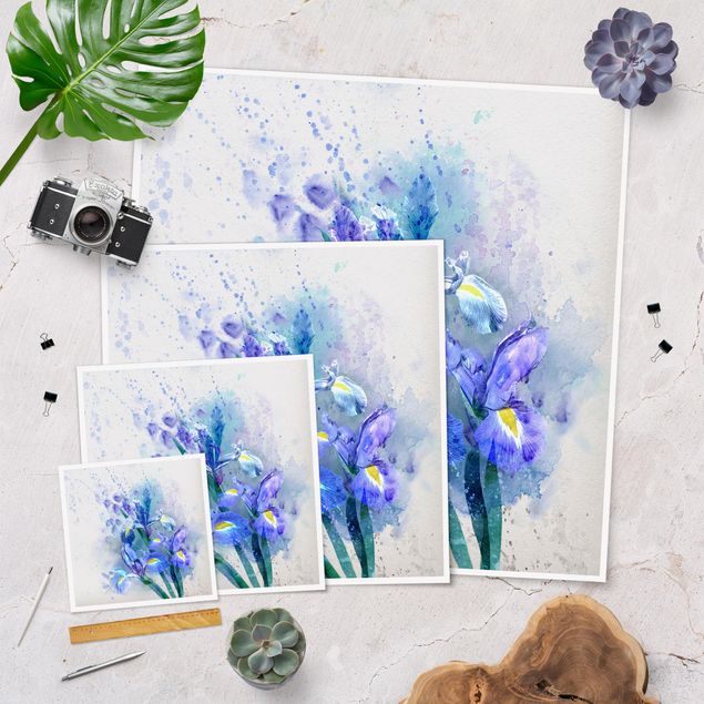Láminas decorativas Watercolour Flowers Iris