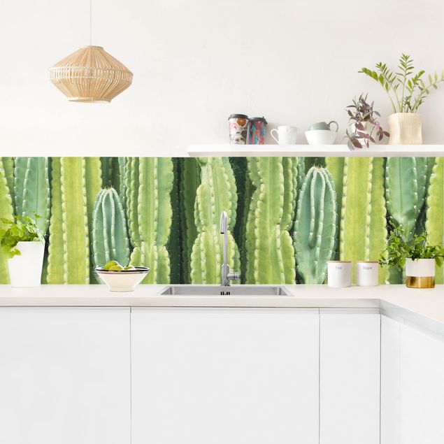 Salpicaderos de cocina flores Cactus Wall