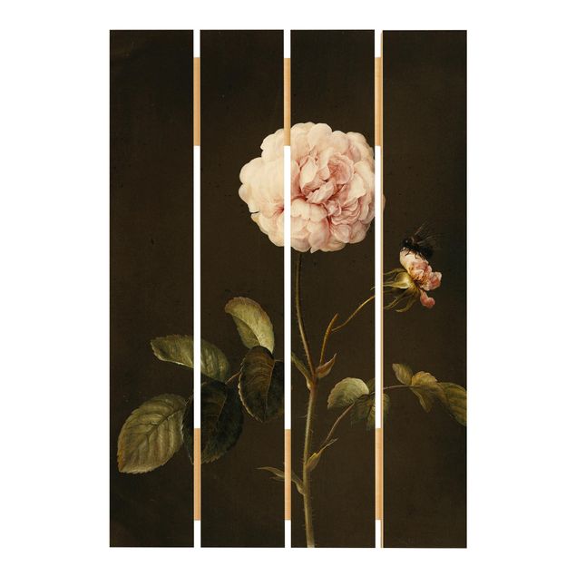 Cuadros de madera flores Barbara Regina Dietzsch - French Rose With Bumblbee