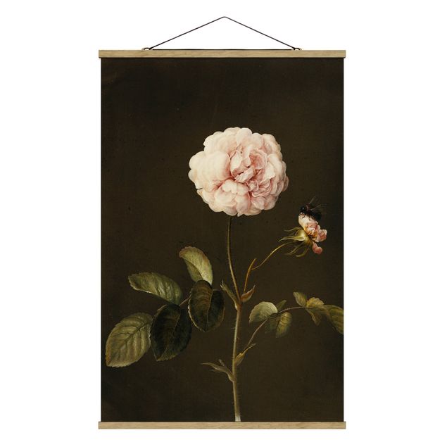 Cuadros plantas Barbara Regina Dietzsch - French Rose With Bumblbee