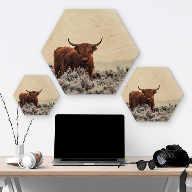 Hexagon Bild Holz - Bison in den Highlands