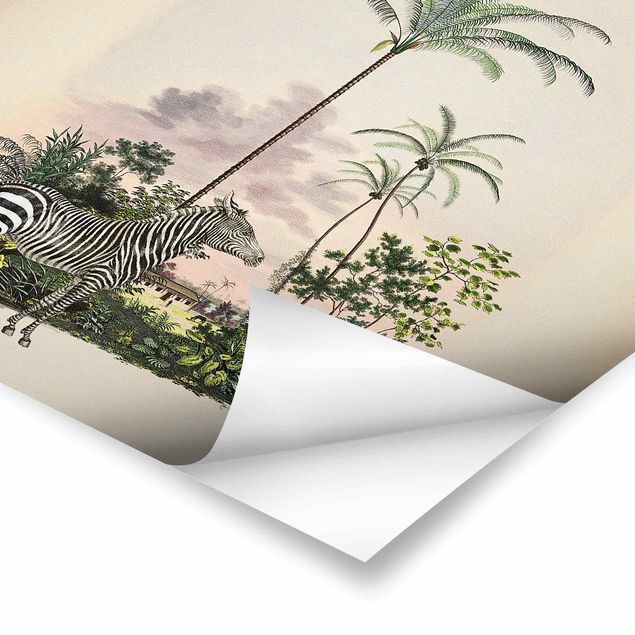Cuadros Haase Zebra Front Of Palm Trees Illustration
