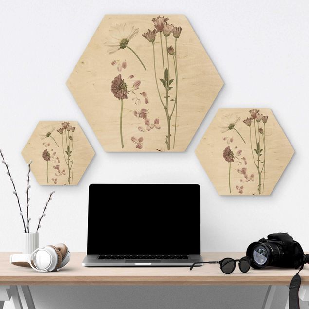 Hexagon Bild Holz - Herbarium in rosa II