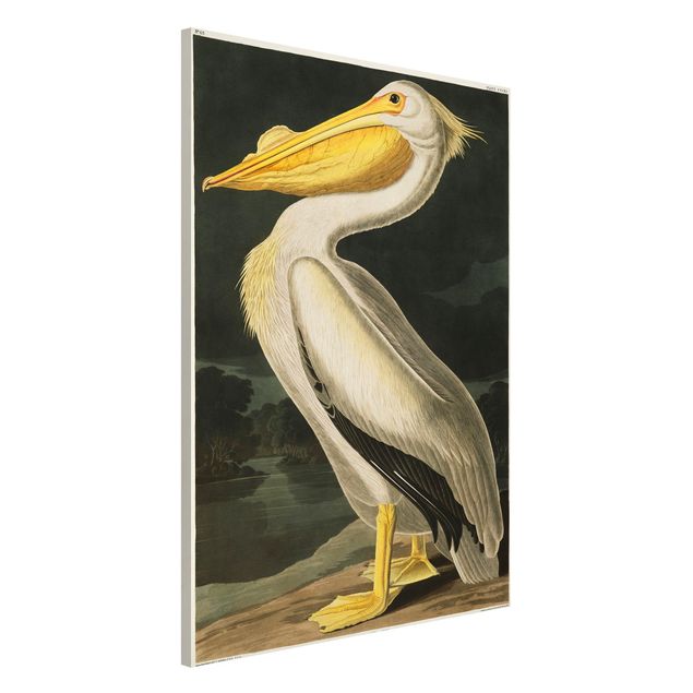 Decoración cocina Vintage Board White Pelican