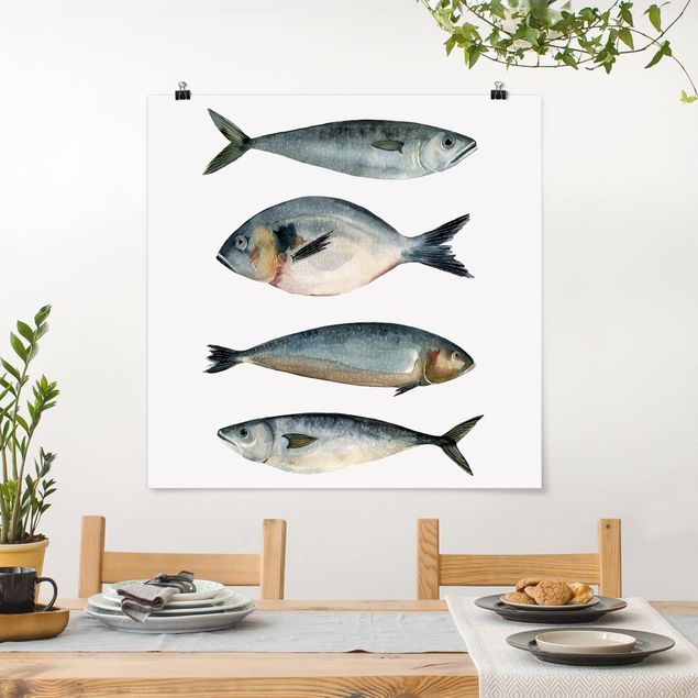 Cuadros peces Four Fish In Watercolour II