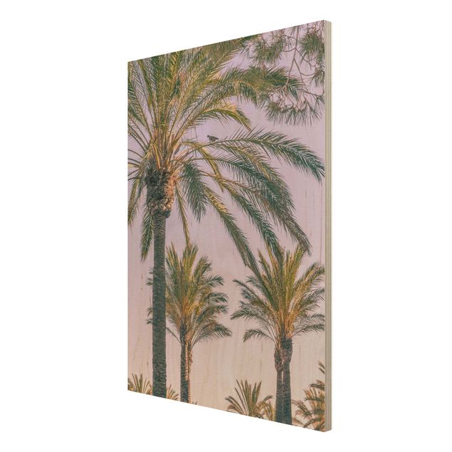 Cuadros de madera paisajes Palm Trees At Sunset