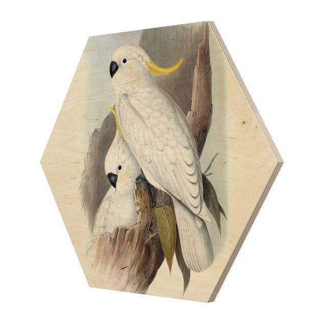 Hexagon Bild Holz - Pastell Papageien III