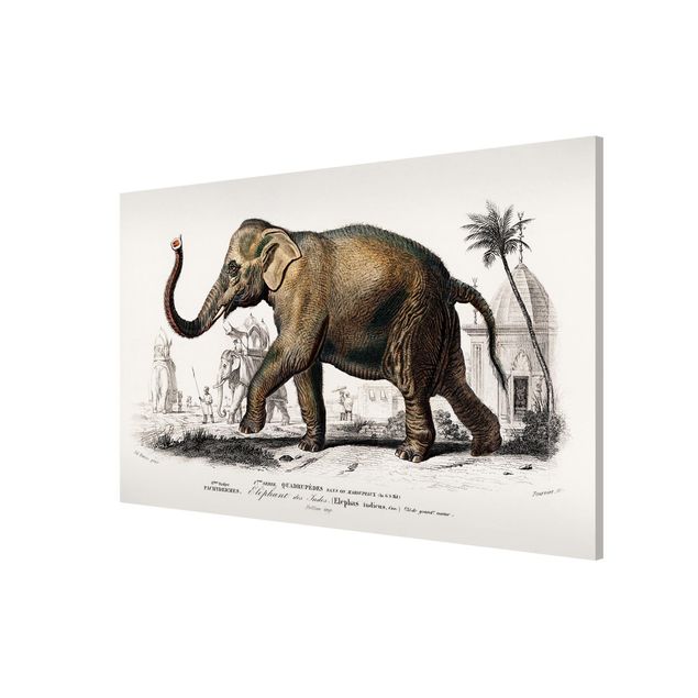 Cuadro con paisajes Vintage Board Elephant