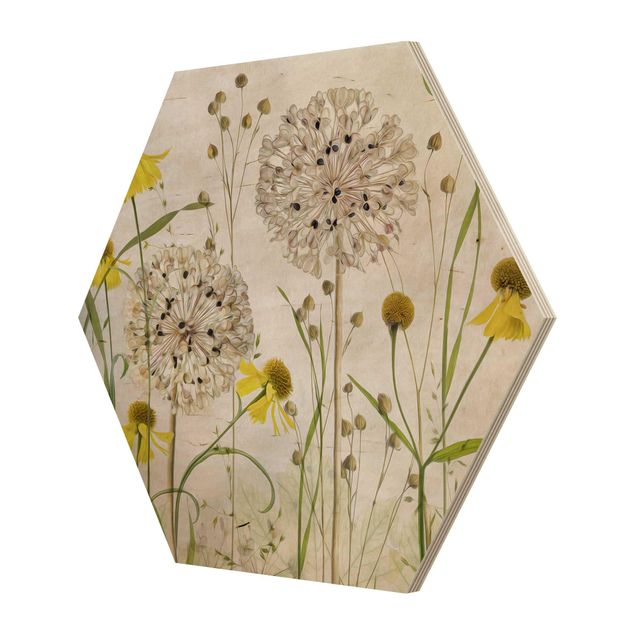 Hexagon Bild Holz - Allium und Helenium Illustration