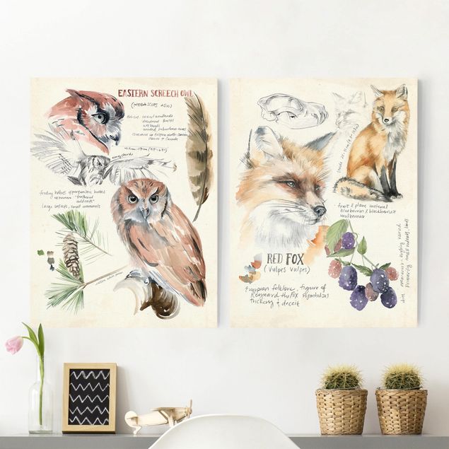 Decoración cocina Wilderness Journal Owl And Fox Set I