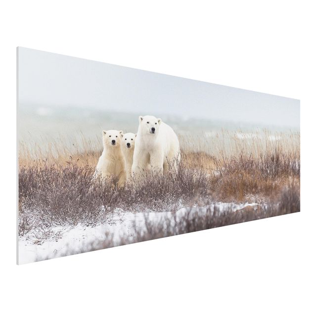 Cuadros de osos Polar Bear And Her Cubs