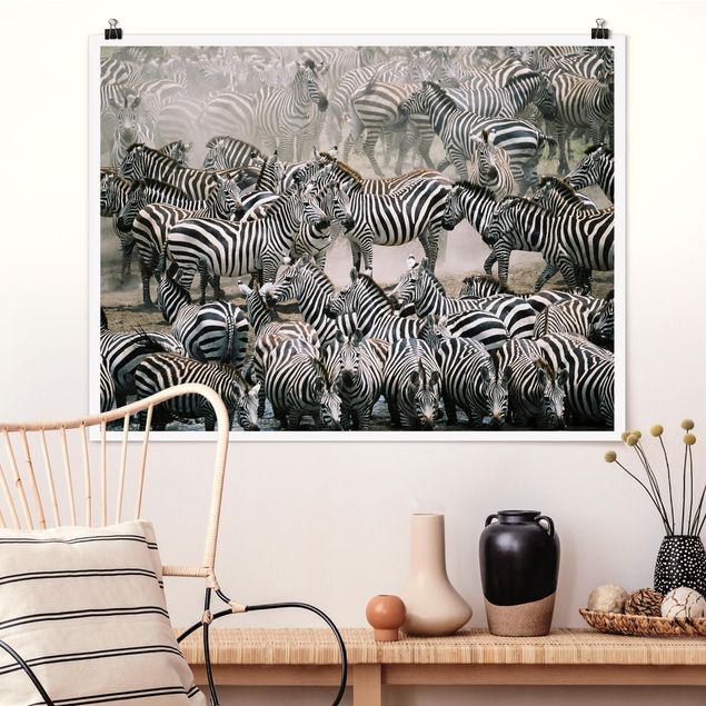 Cuadros cebras Zebra Herd