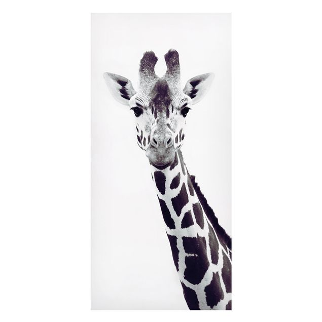 Cuadros jirafas Giraffe Portrait In Black And White
