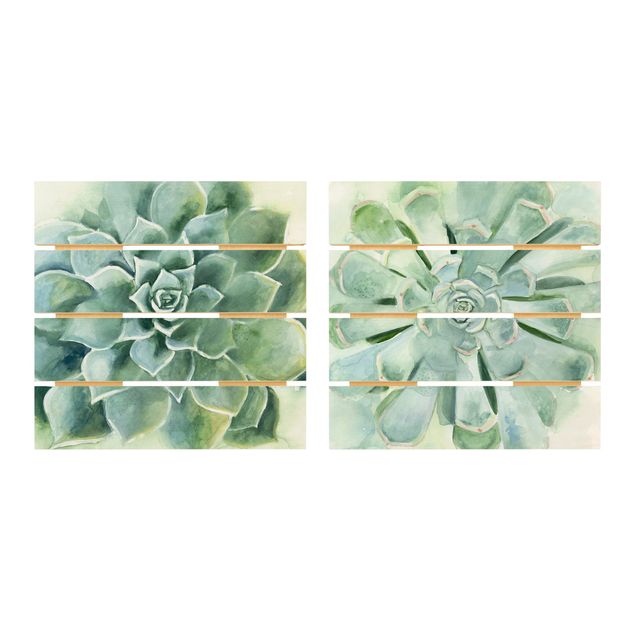 Cuadros en madera Succulent Watercolour Set I