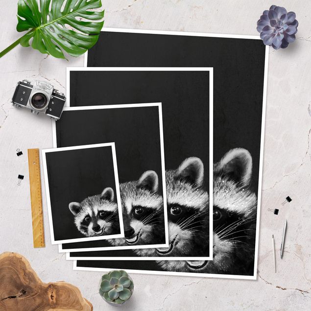 Cuadros Laura Graves Arte Illustration Racoon Black And White Painting
