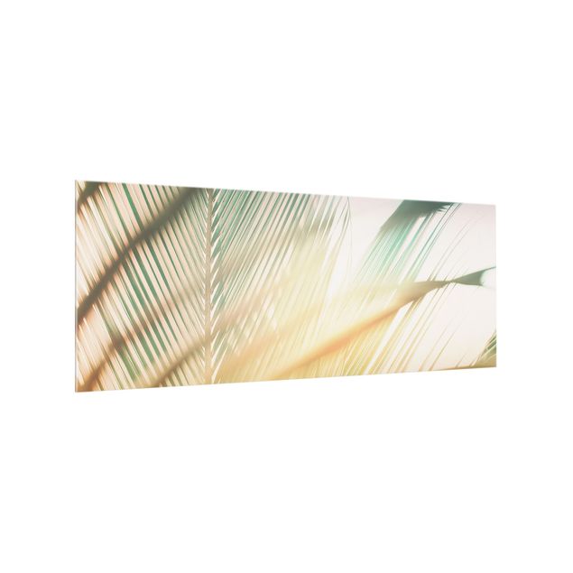Paneles de vidrio para cocinas Tropical Plants Palms At Sunset II