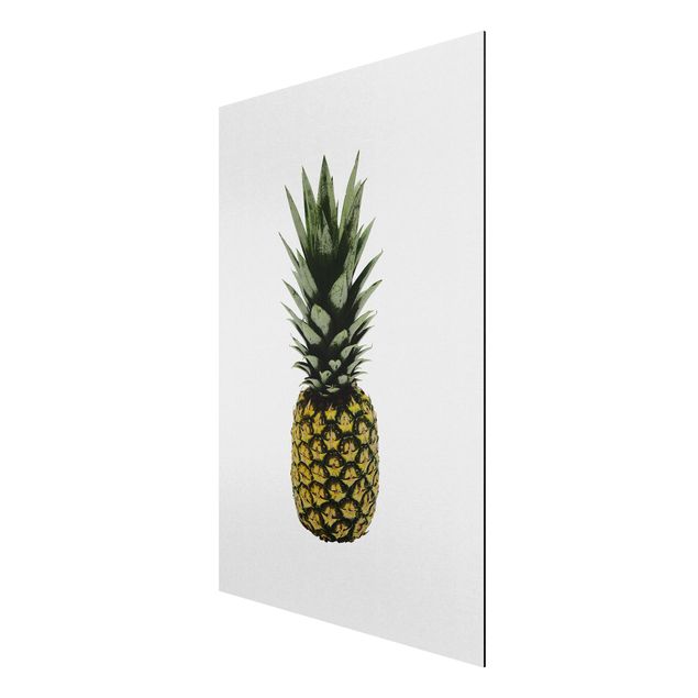 Cuadros de plantas Pineapple