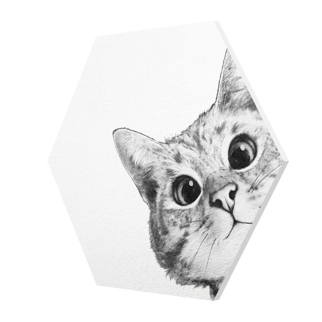 Cuadros de animales Illustration Cat Drawing Black And White