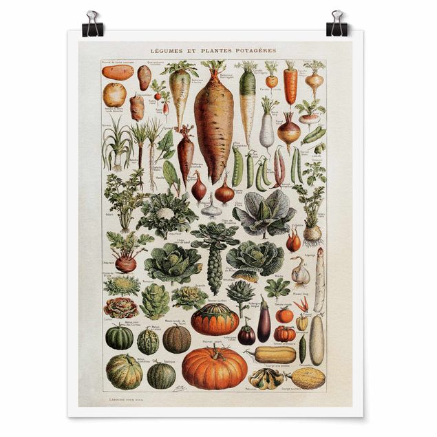 Cuadros de plantas Vintage Board Vegetables