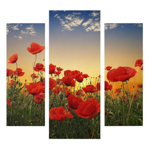 Cuadros en lienzo de flores Poppy Field In Sunset